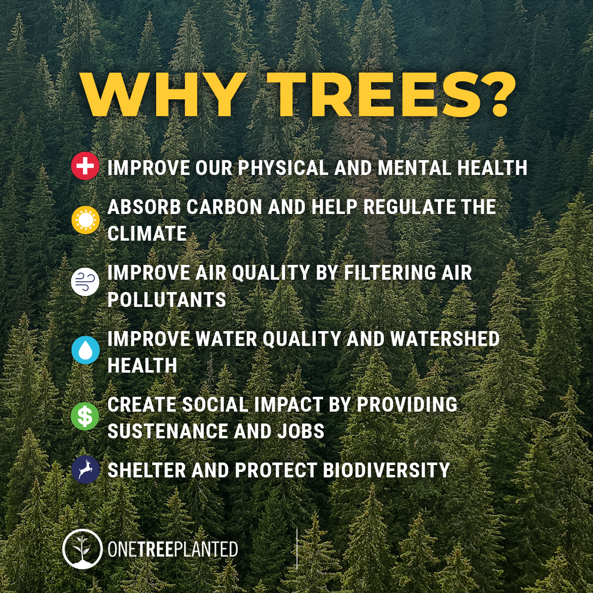 Contribution For Tree Giving Back